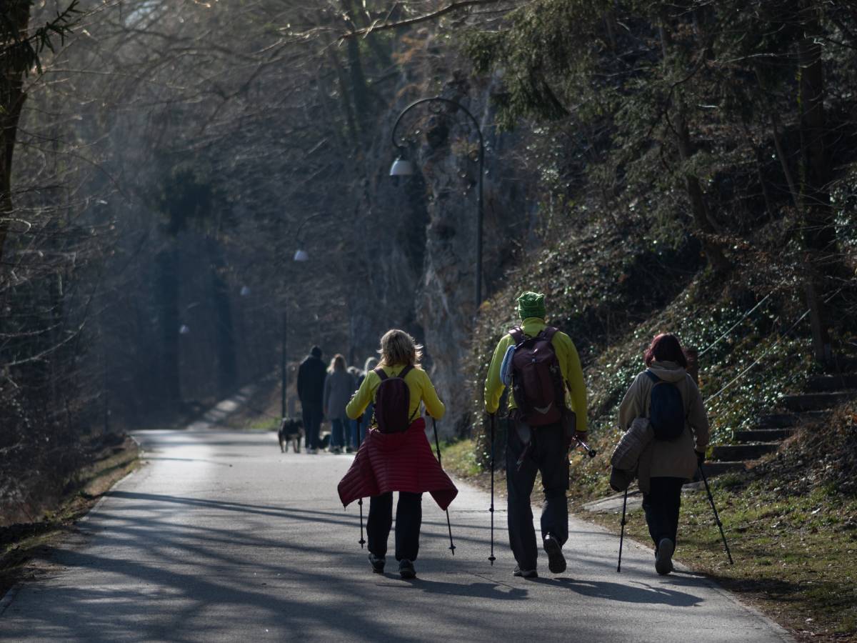  Terapija šumom uvodi se u obrazovni sistem u jednoj školi u Sloveniji 