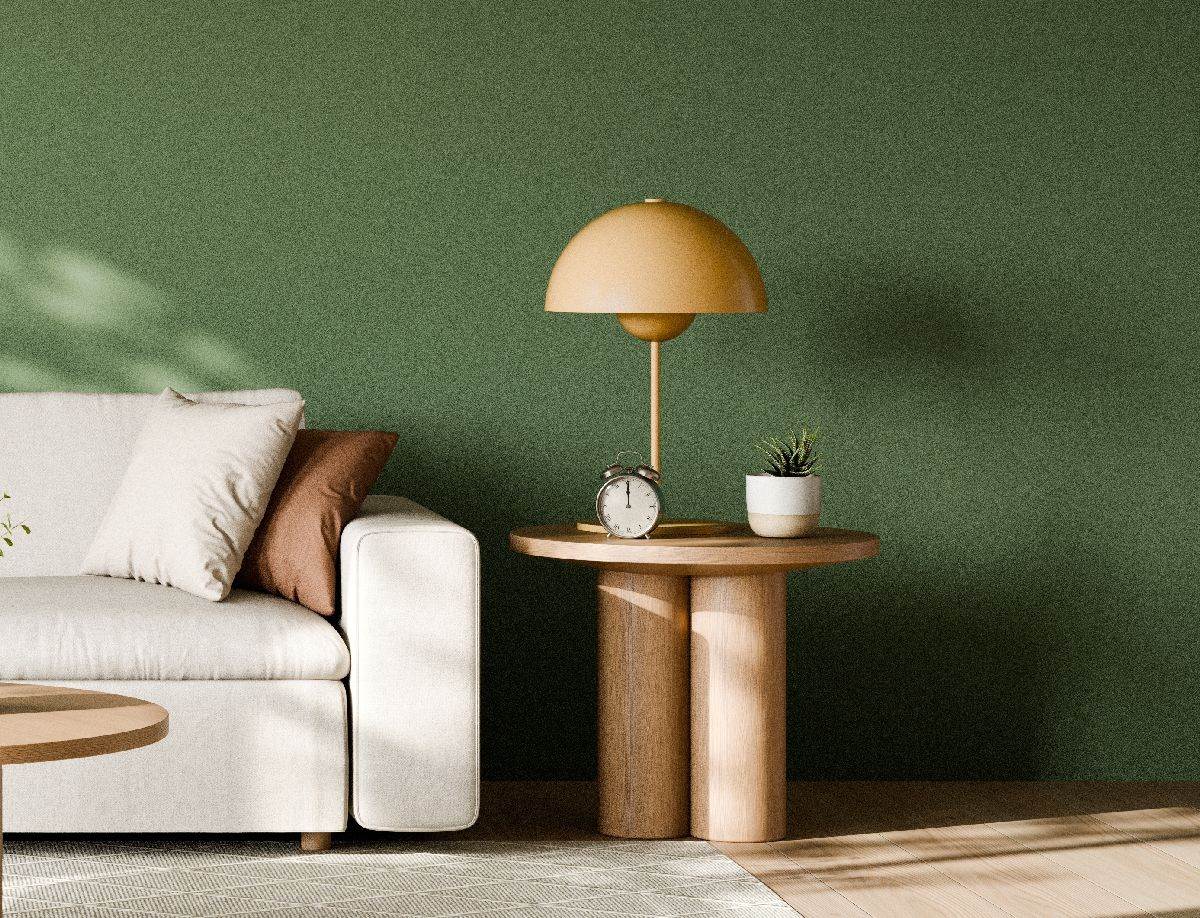  Kako šveđani čiste dom 