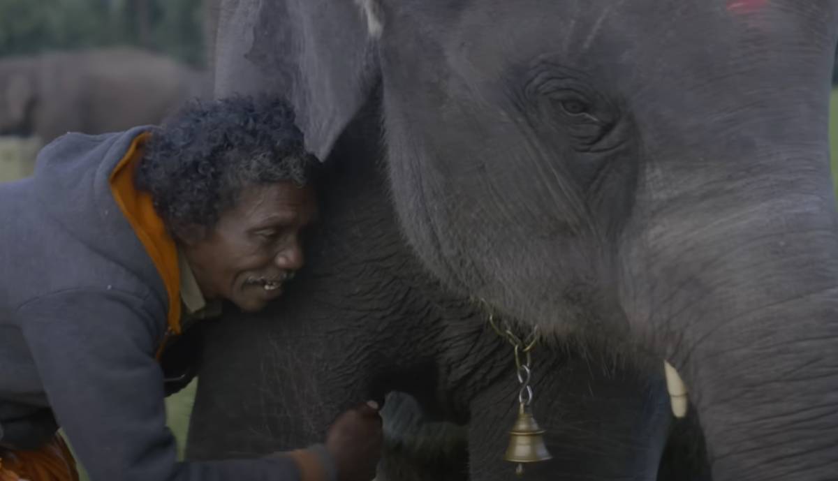  3 najbolja Netfliksova dokumentarca u poslednjih 5 godina 