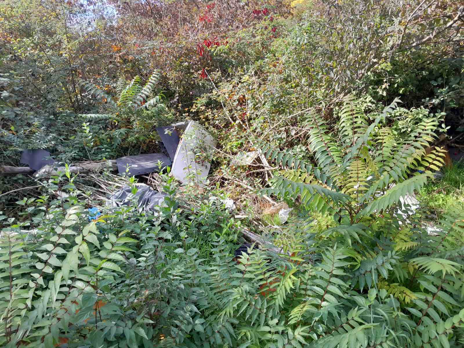  Smeće iza parka kod TC Delta 