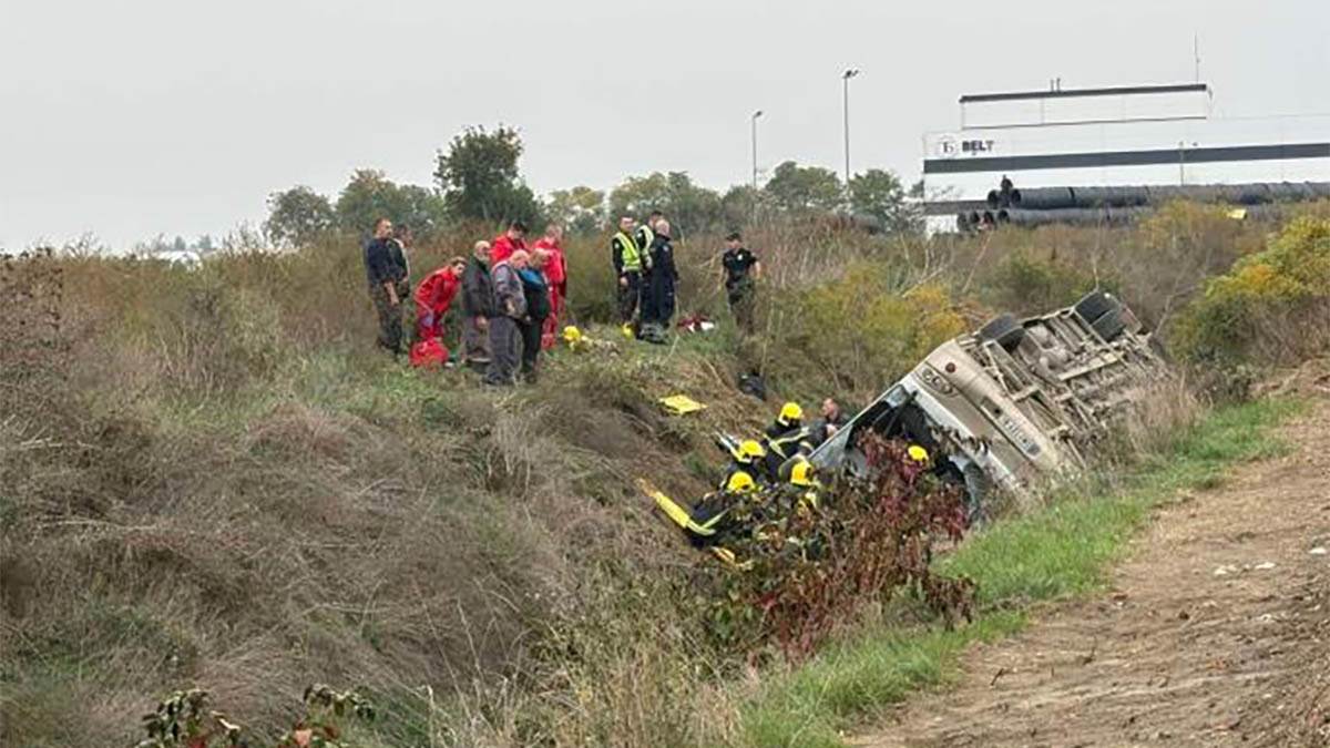  Dačić: Mora se ispitati kako je vozač dobio neograničenu dozvolu 