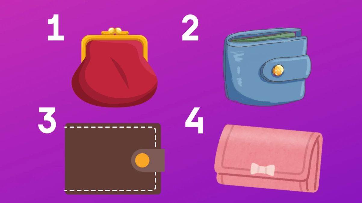  Izaberite novčanik i proverite da li ćete se obogatiti 