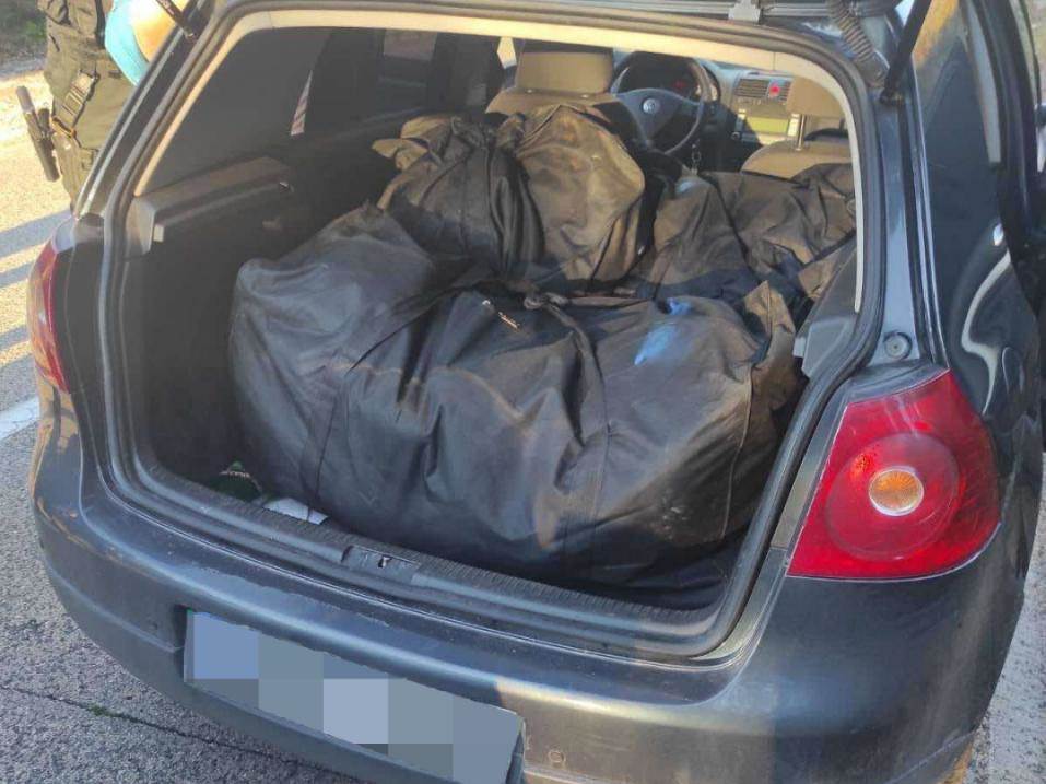  zaplijenjena veća količina skanka u Trebinju 