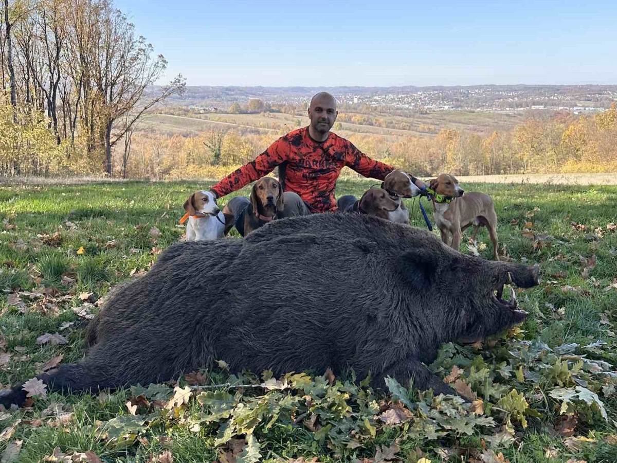  Prnjavorčanin ubio vepra od 224 kilograma 