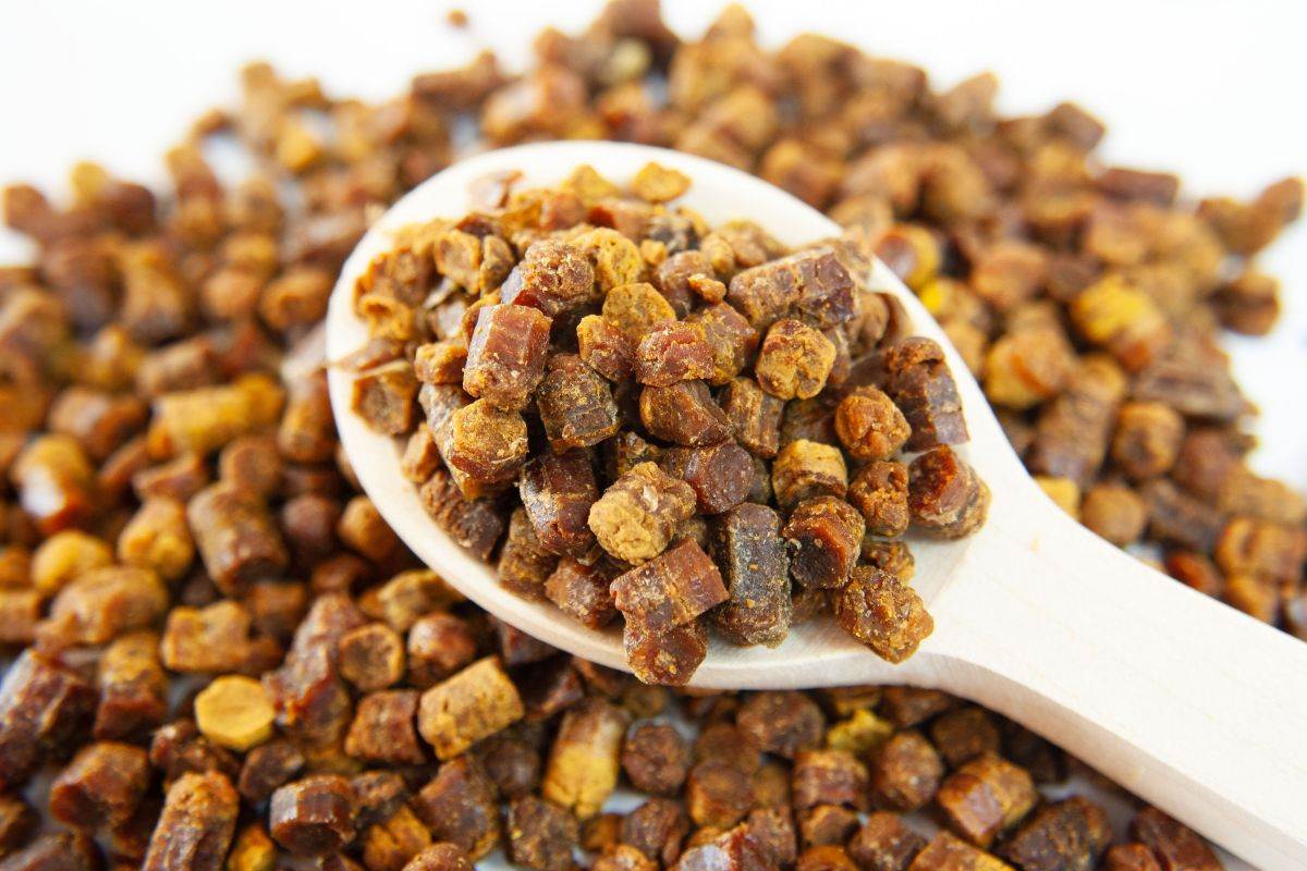  Šta je pčelinji hljeb i kako se jede? 