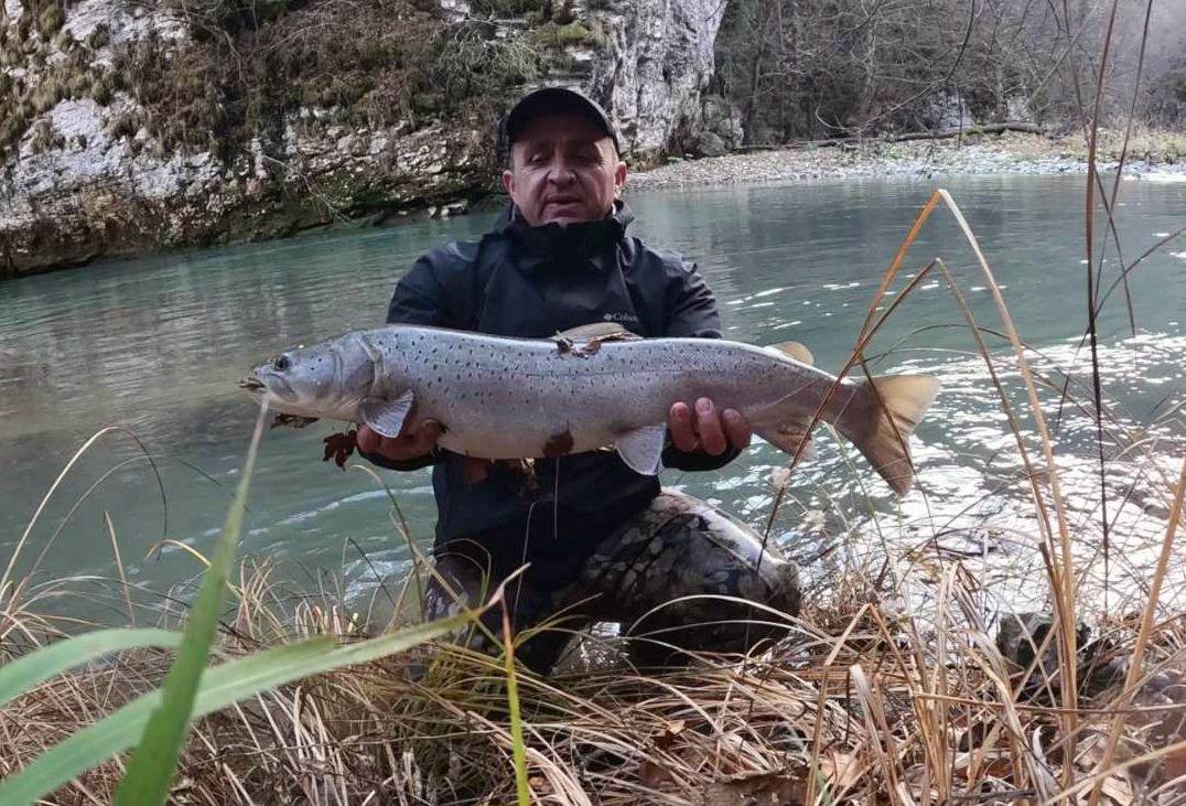  U Foči ulovljeno 17 mladica, rekordna duga preko metar 