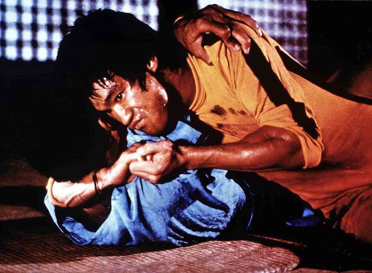  uzrok smrti brusa lija 