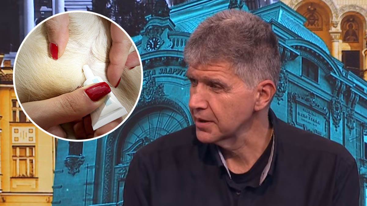  Veterinar o davanju zaštite od parazita psima 