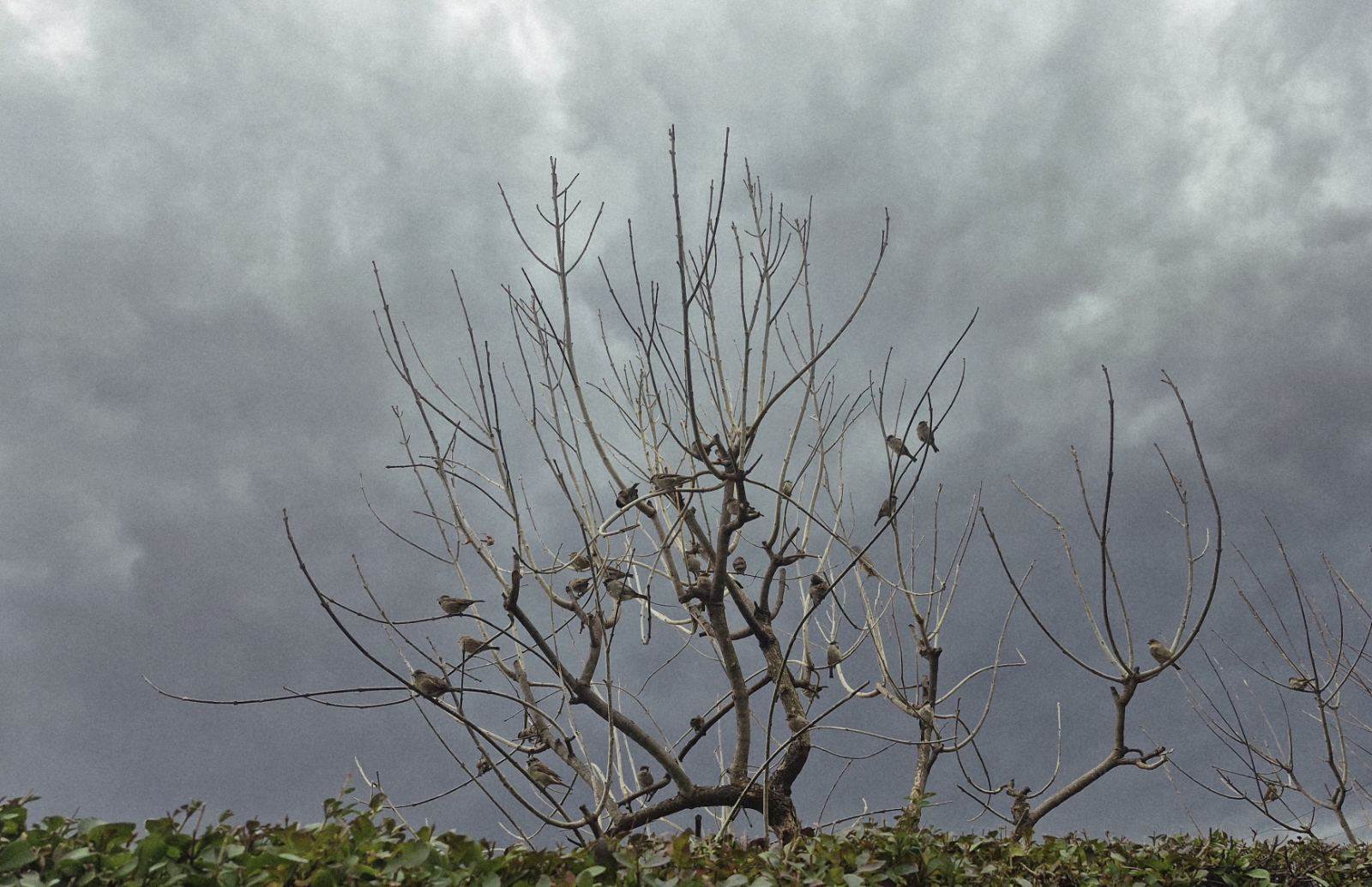  Prognoza vremena i stanje na putevima 