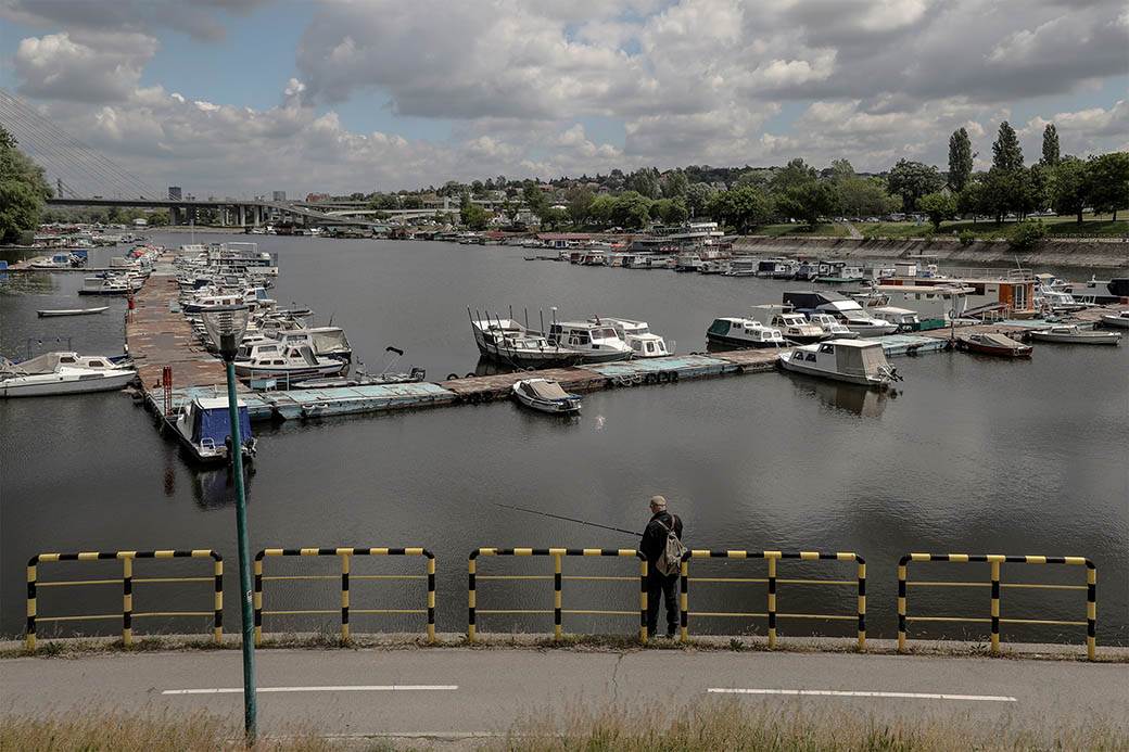  Ribolovac iz Pirota ulovio tolstolobika od 58 kg 