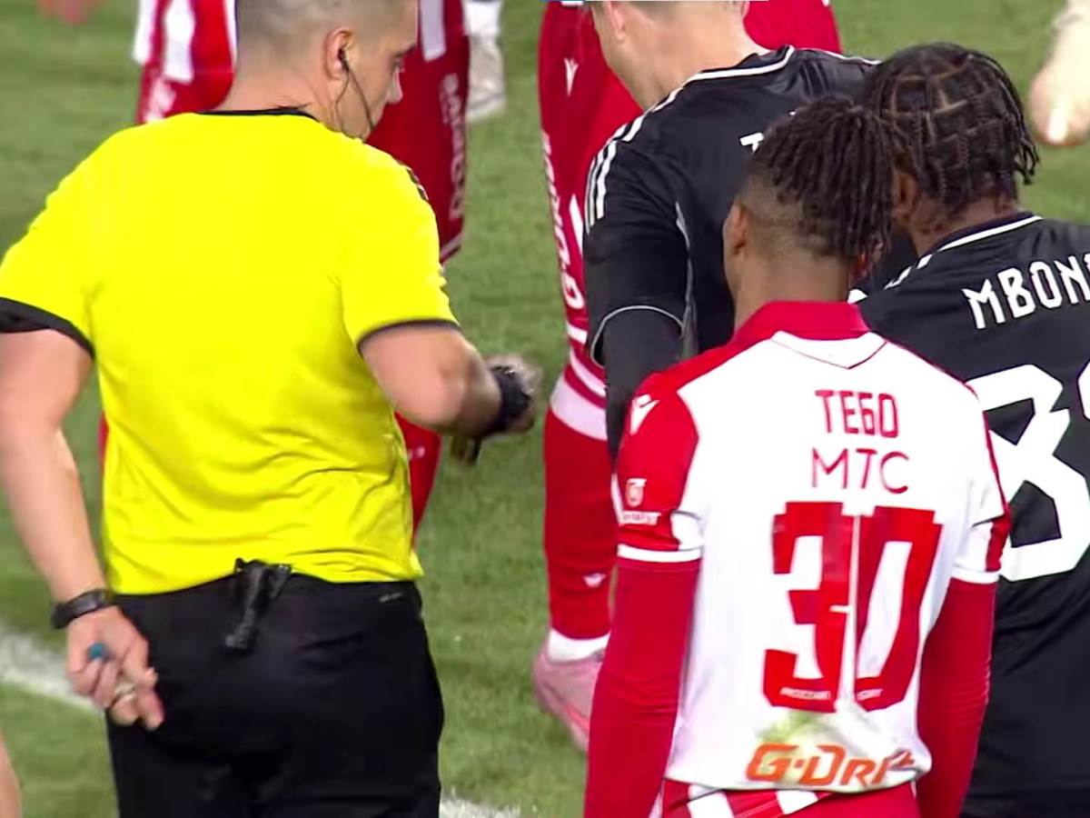  Frenklin Tebo Učena crveni karton Čukarički 