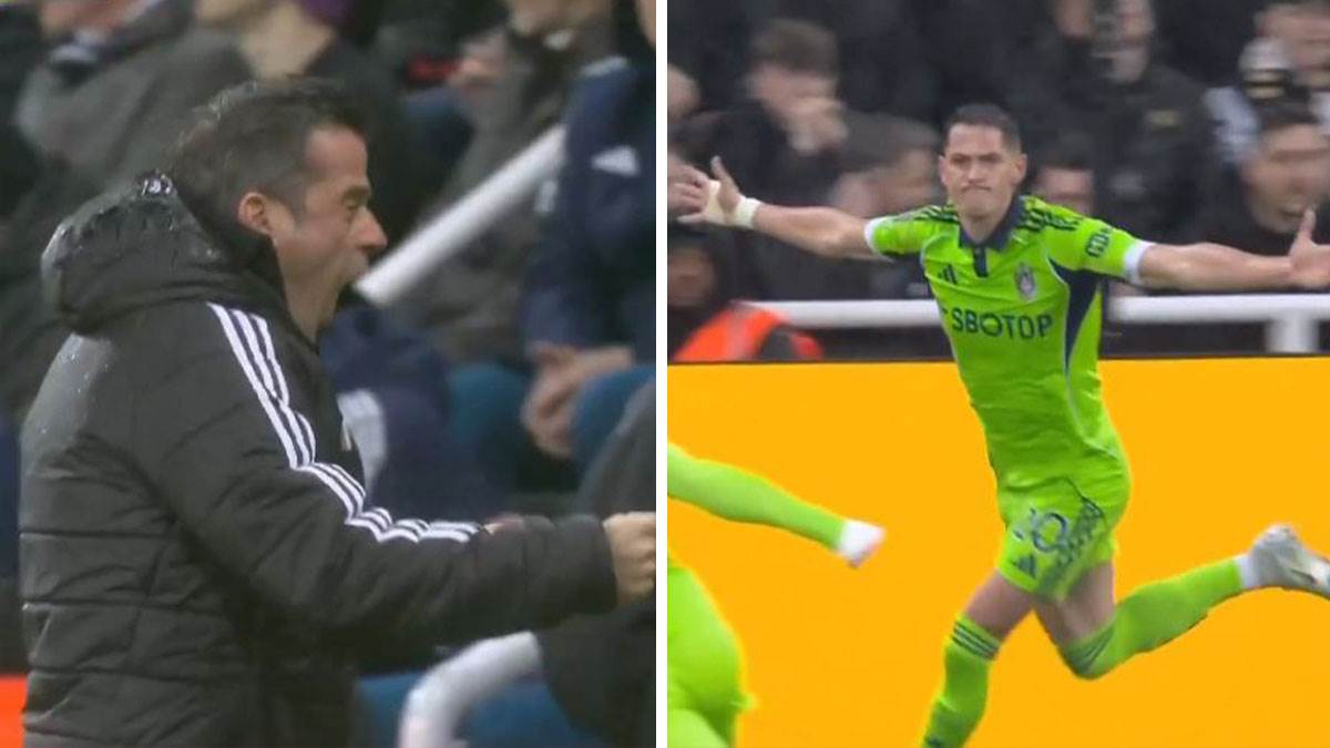  Saša Lukić pogodak protiv Njukasla 