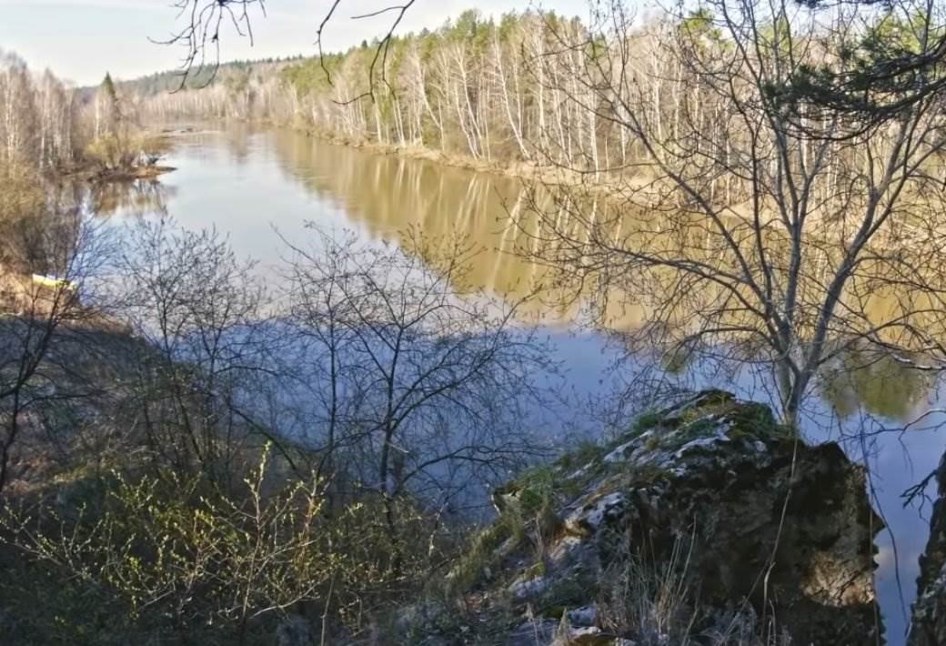  Pomor ribe u Zapadnoj Moravi kod Kraljeva 