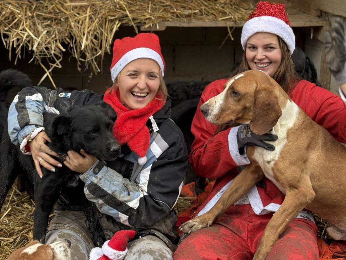  Humanitarni bazar i tombola Udruženja SPAS za pomoć napuštenim psima 