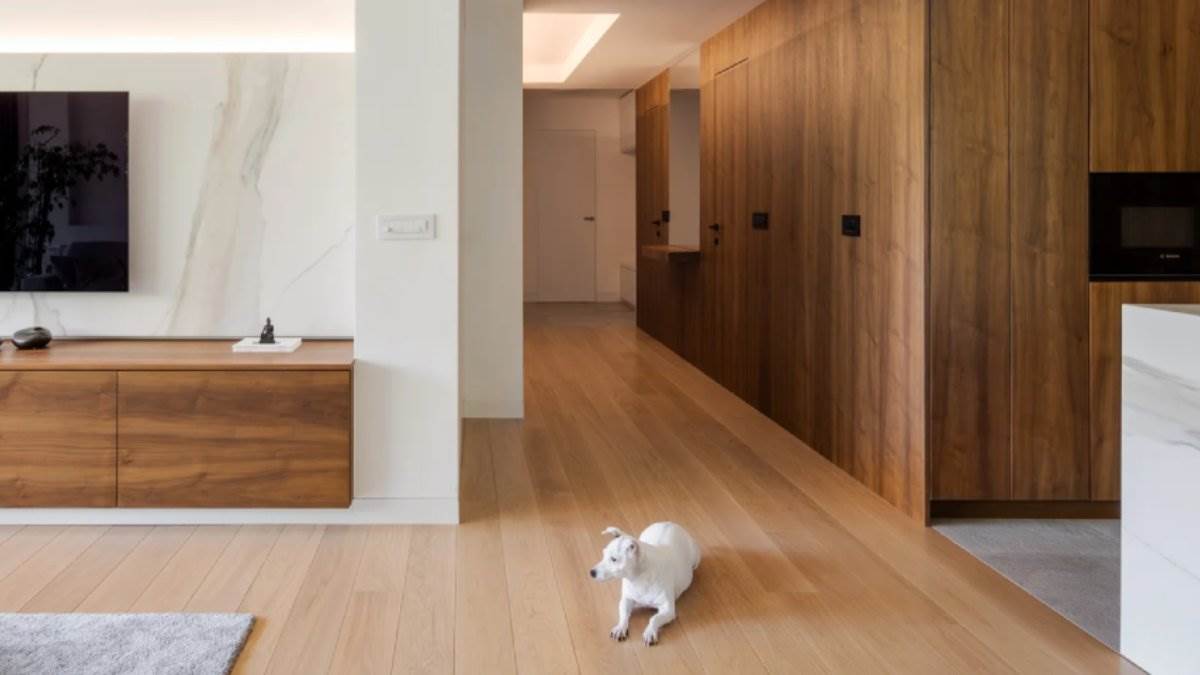  Najljepši stanovi u 2025. godini 