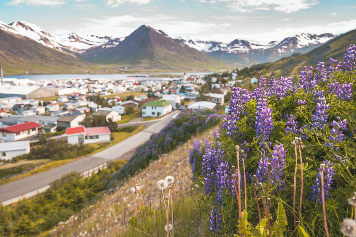  Island je najbrže rastuća turistička destinacija u Evropi 
