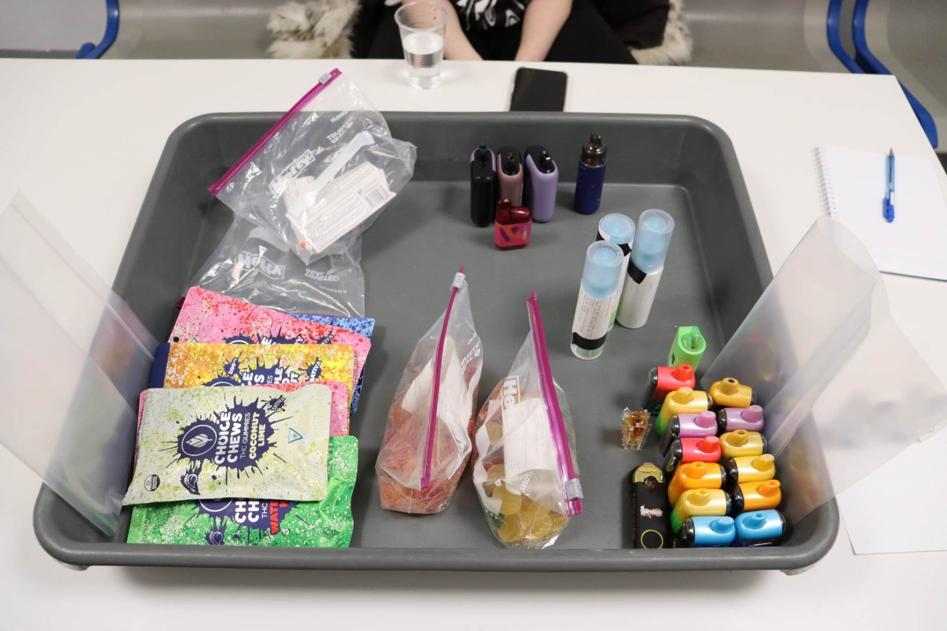  Amerikanka uhapšena na Sarajevskom aerodromu 