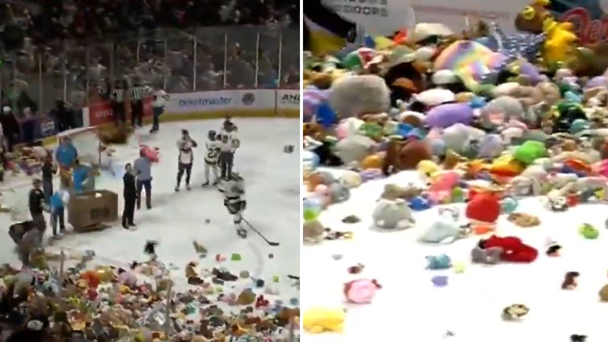  Na hokejaški teren bačeno 80 hiljada igračaka 