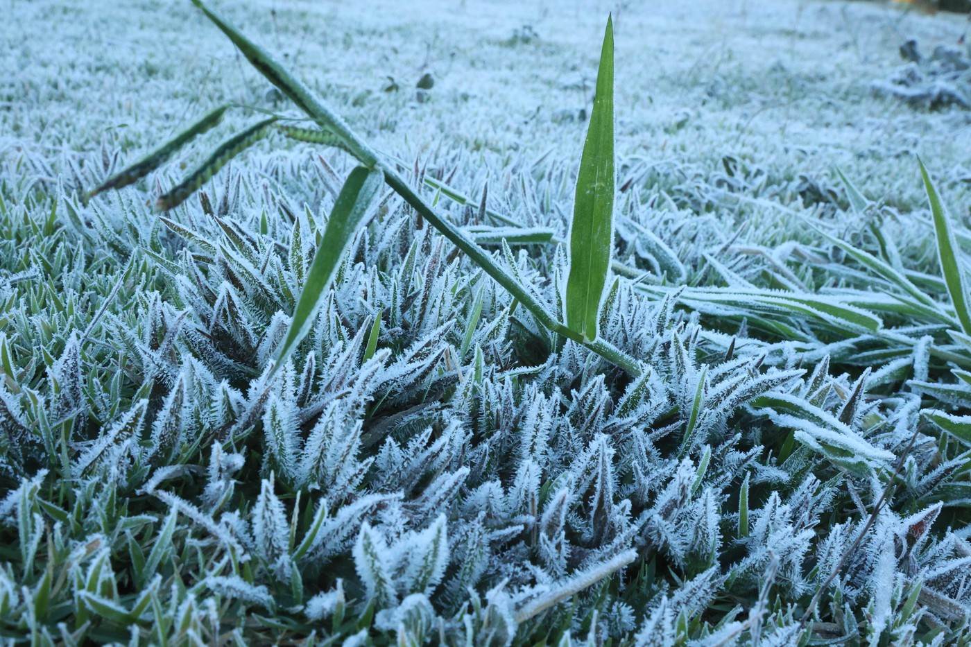  U pljevaljskom selu Kosanici -21 stepen 