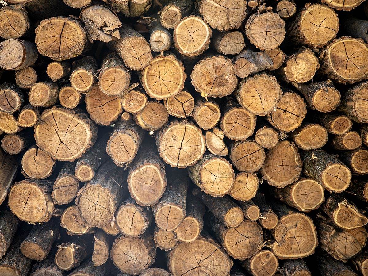  Koje drvo najbolje grije 