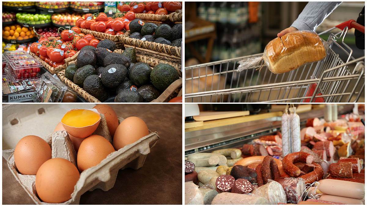  Nova piramida ishrane  