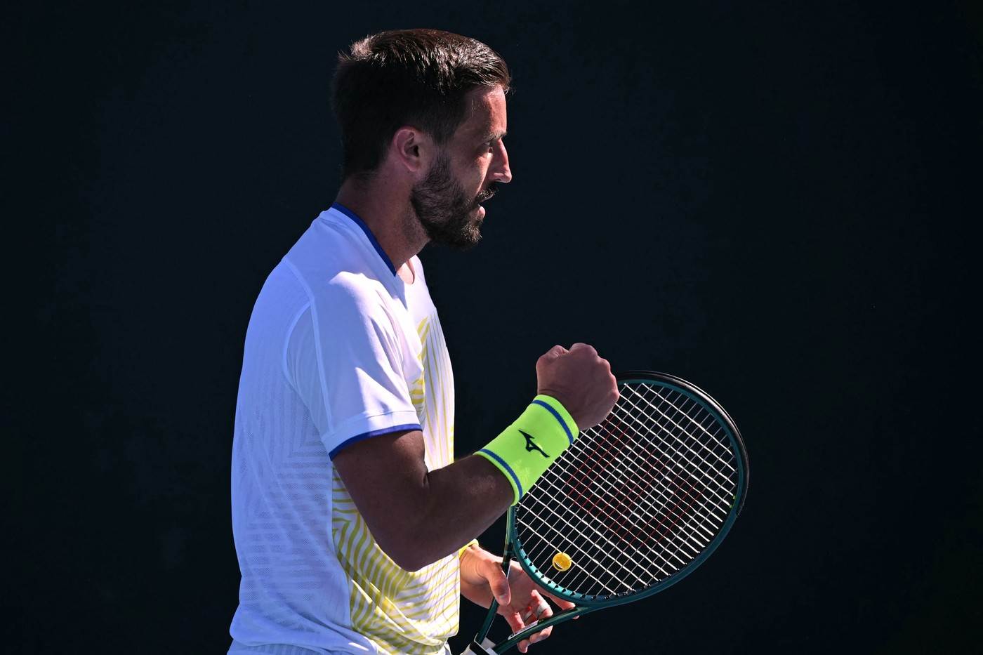  Damir Džuhmur prošao u drugo kolo Australijan opena 