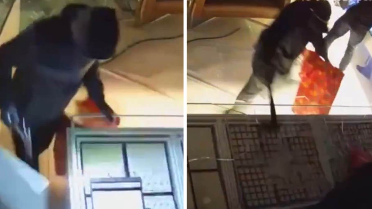  Pljačka Pink Pantera u Njemačkoj 