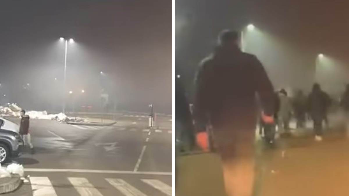  navijaci hajduka napali delije pa se krili u sumi 