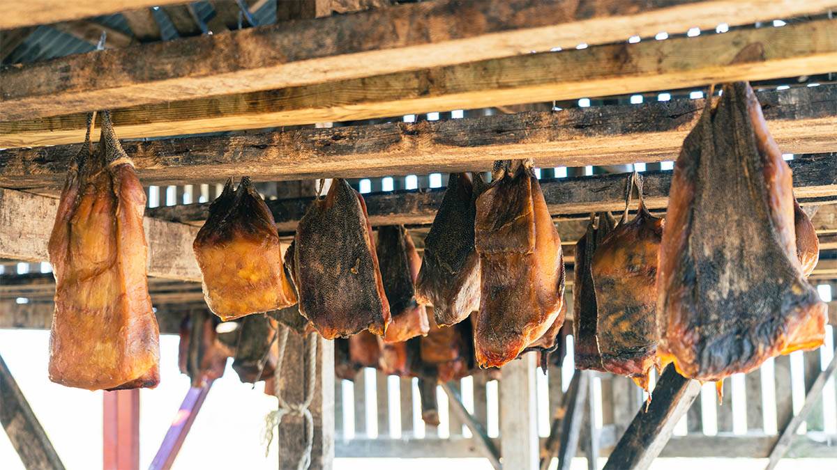  Evo kako stanovnici Grenlanda prkose političkim previranjima 