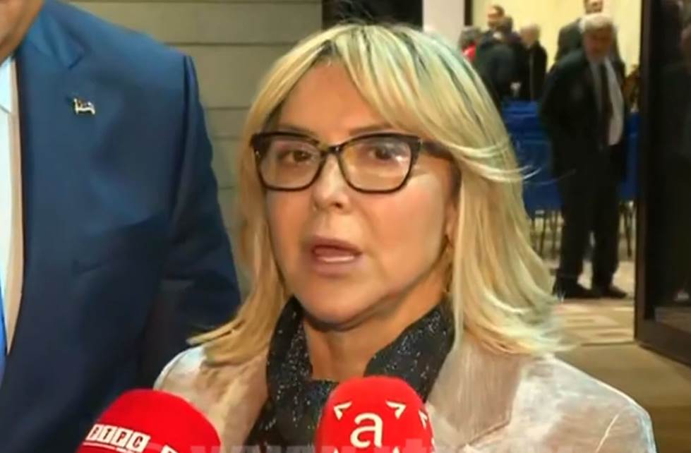  Ana trišić babić o sastanku s herzogom 