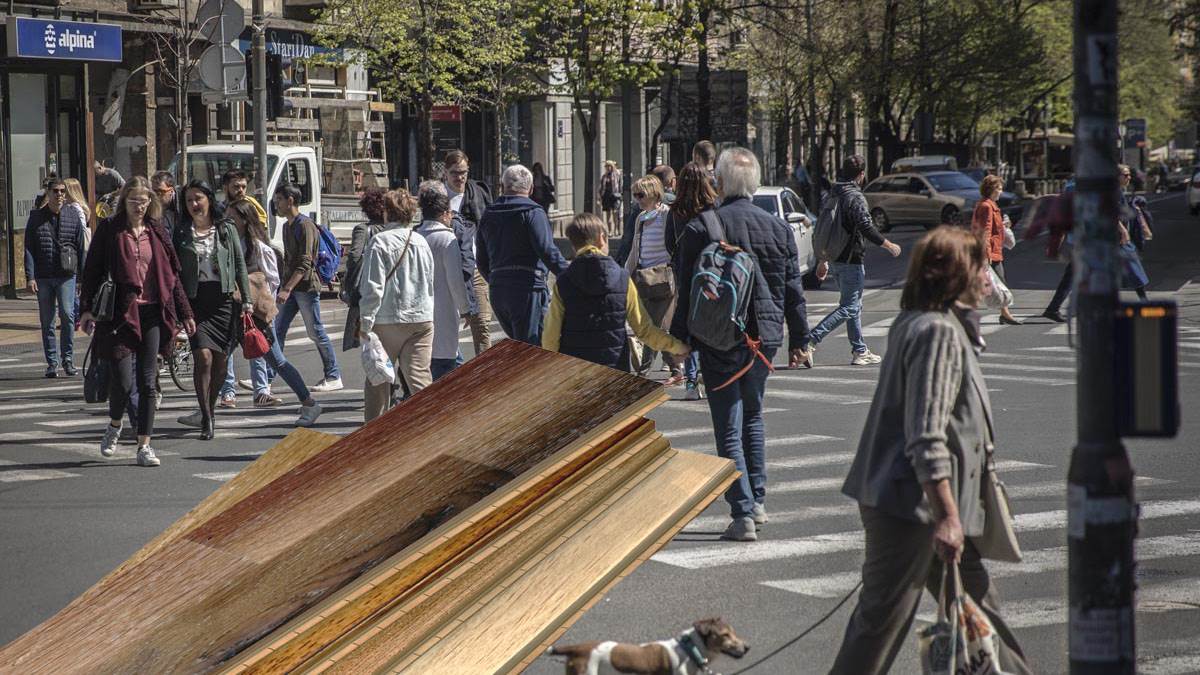  Kako je nastao izraz glup do daske 