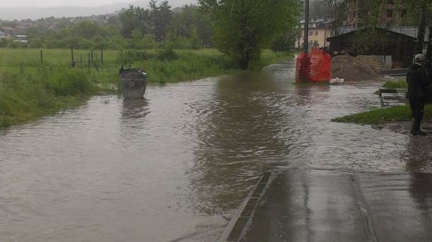  Bijeljina: Uklonjeno pet tona uginule stoke 