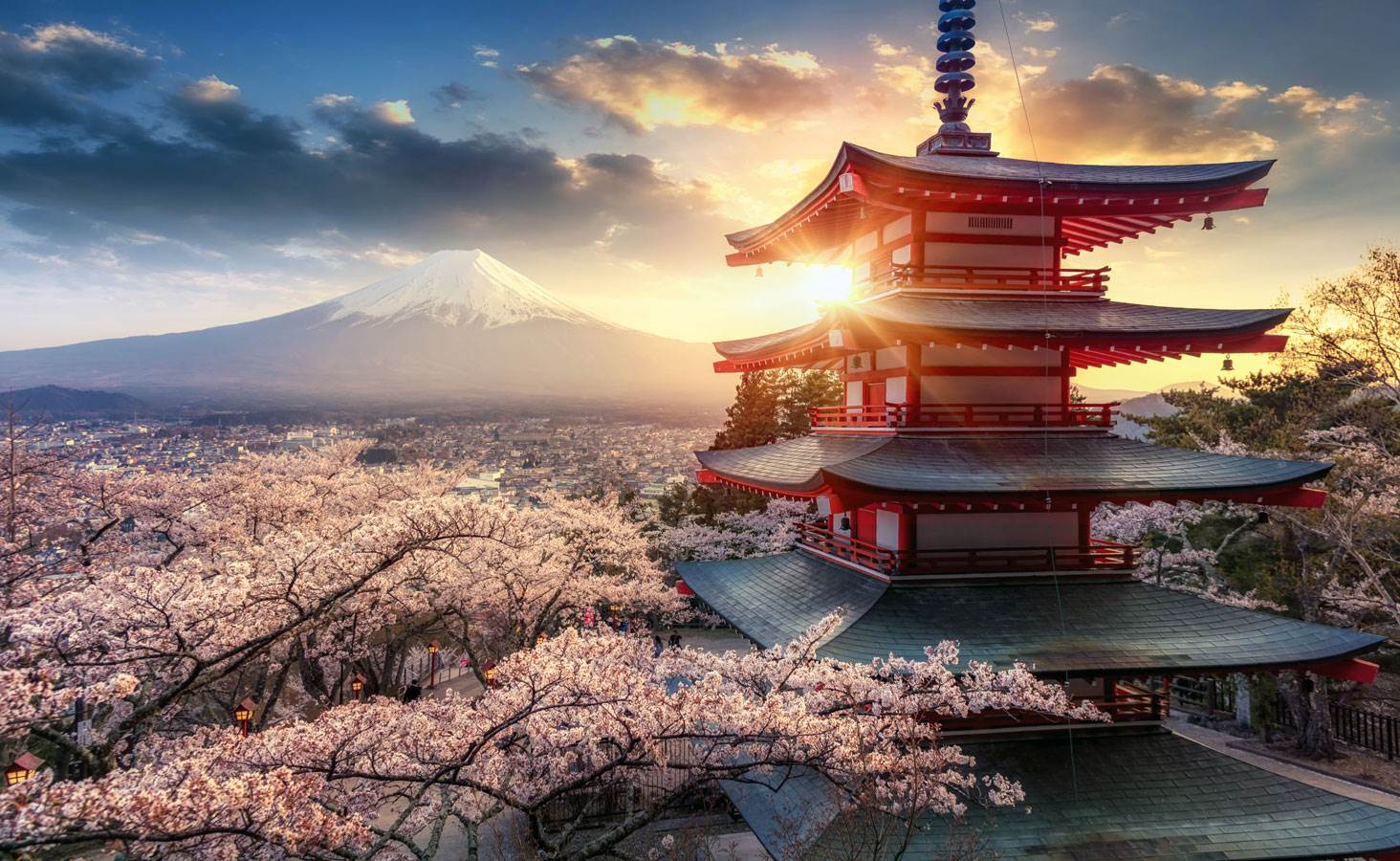  Japanci otkazali festival trešnje zbog turista 