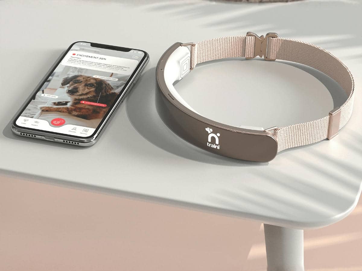  Ogrlica koja pomaže psima da razumiju ljudski jezik 