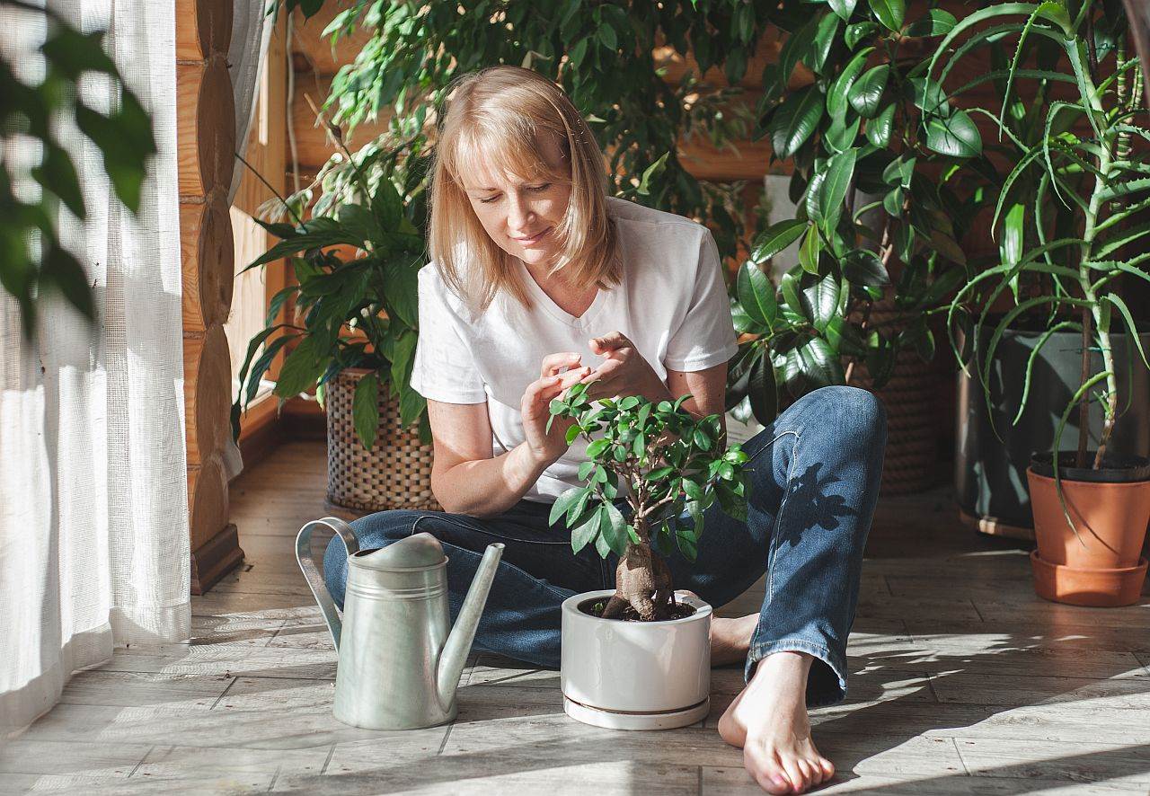  Najbolje đubrivo za kućne biljke 