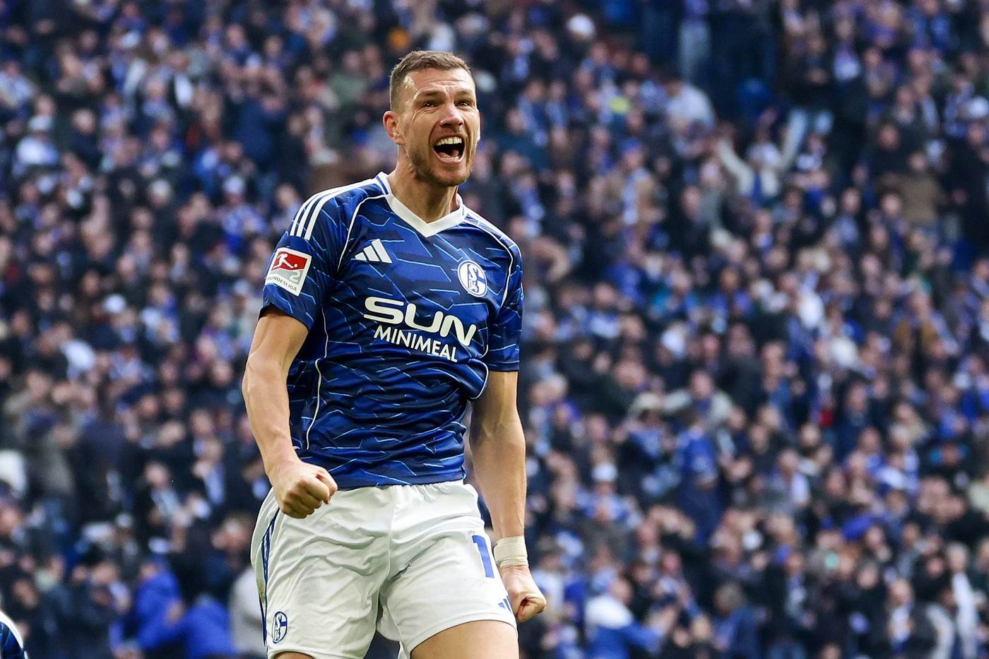  Edin Džeko dao dva gola za Šalke 