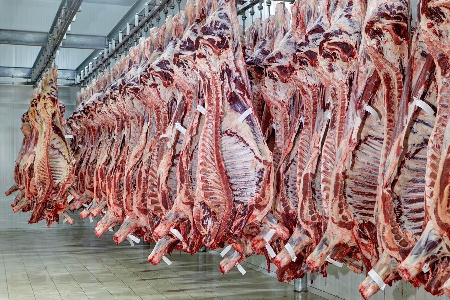  Zabranjen uvoz govedine iz Južne Amerike 