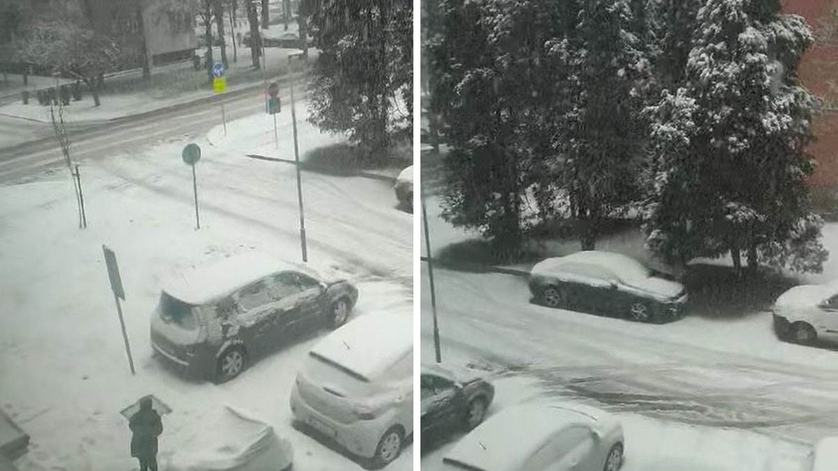  snijeg pada u hrvatskoj, zavijani putevi, padalo drveće 