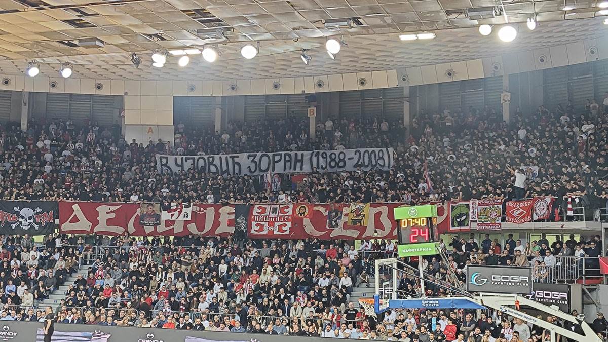  transparent delija zoran vujovic 