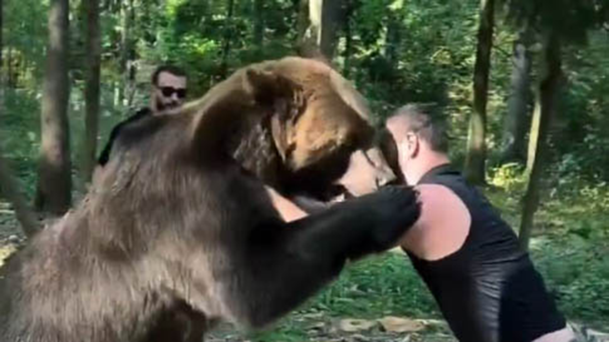  Bokser sparinguje sa medvjedom 