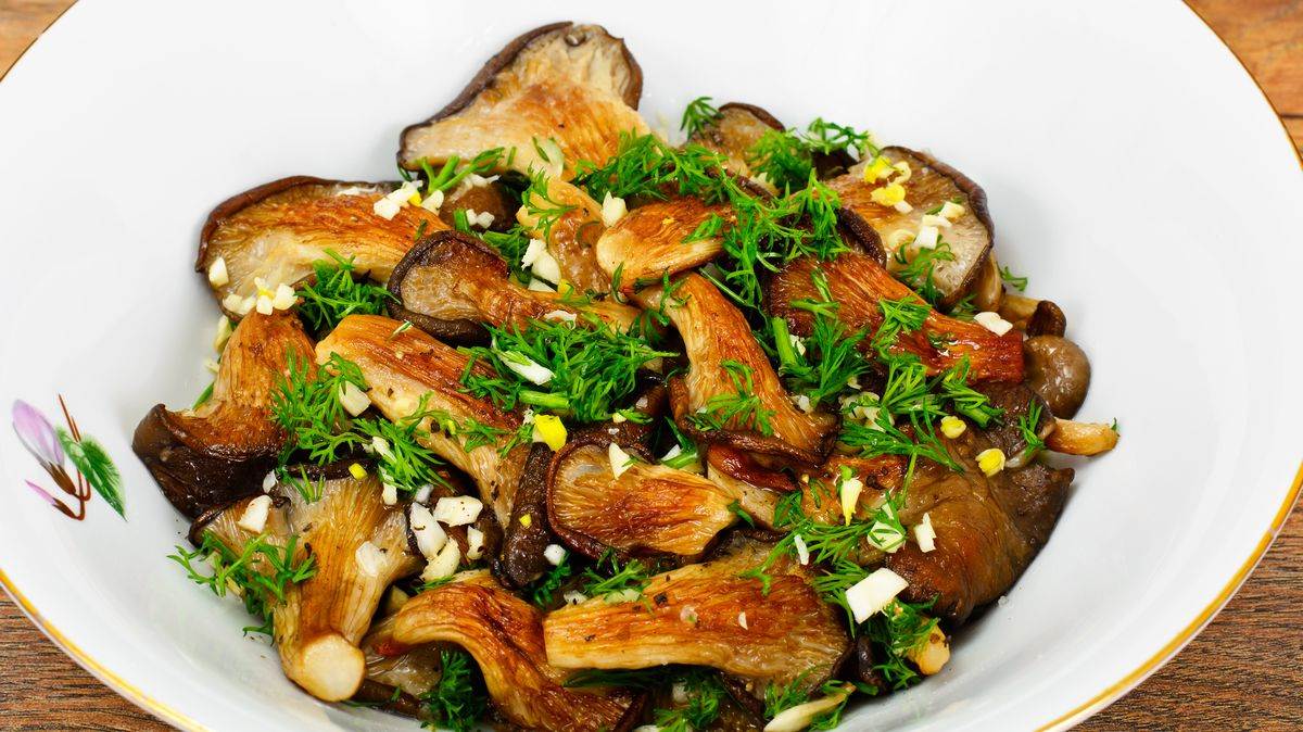  kako se pripremaju pečurke bukovače 