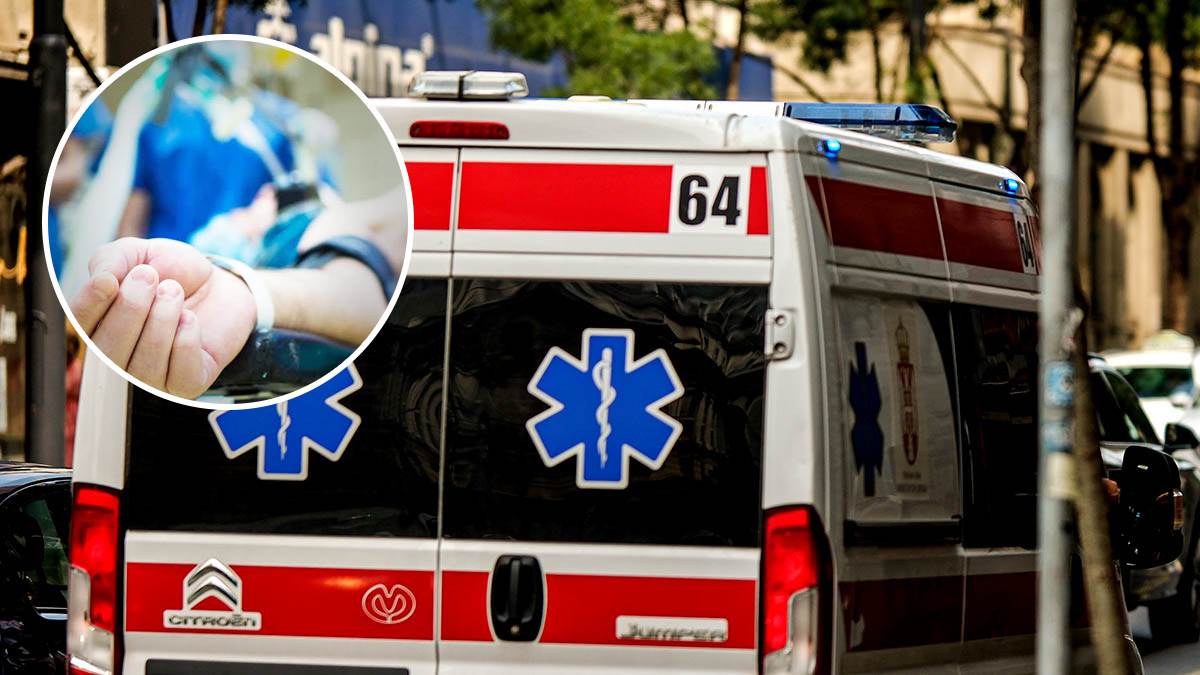  Psi izujedali ženu u Beogradu 