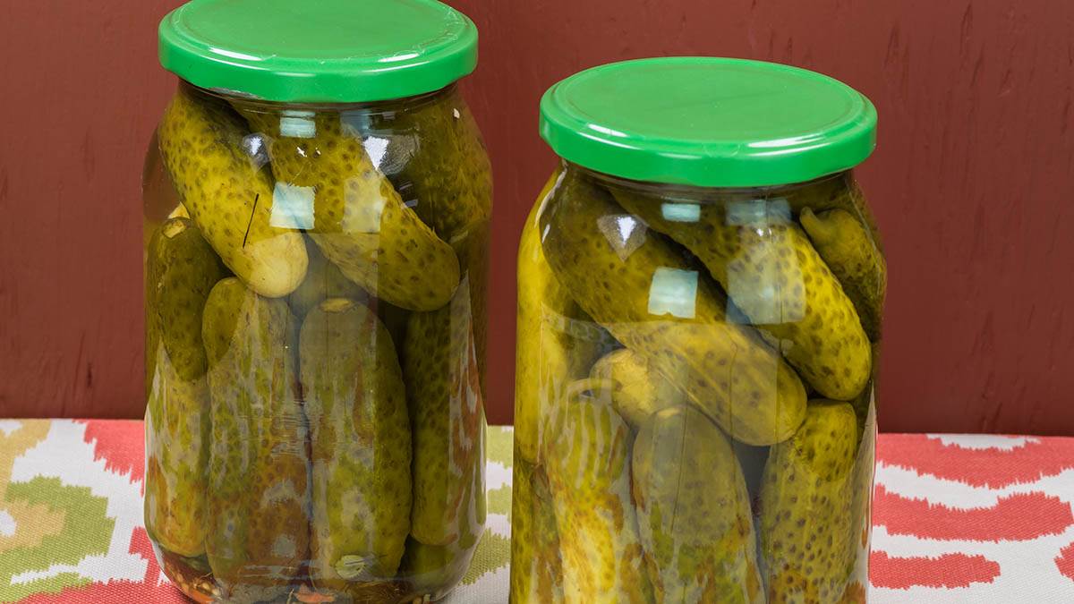  Sok od kiselih krastavaca probiotik 