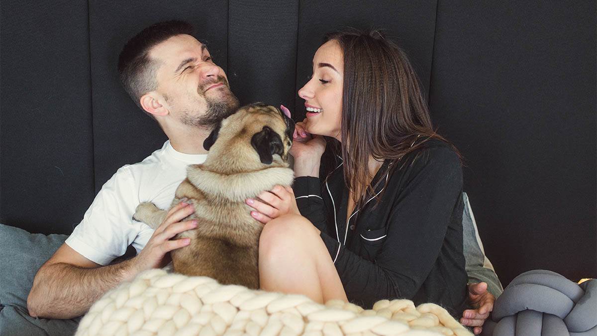  Zašto se pas uvlači između parova 