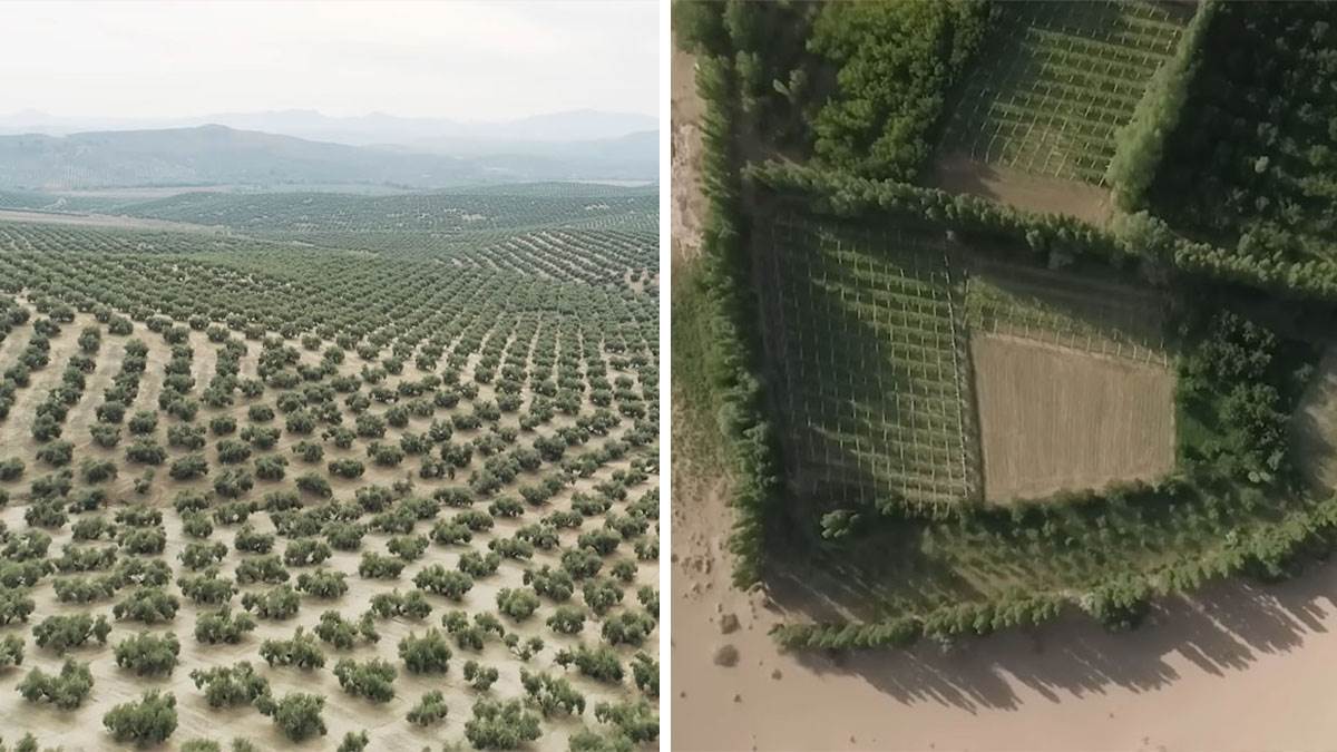  Kako je Kina pretvorila pustinju u ugljenični rezervoar? 