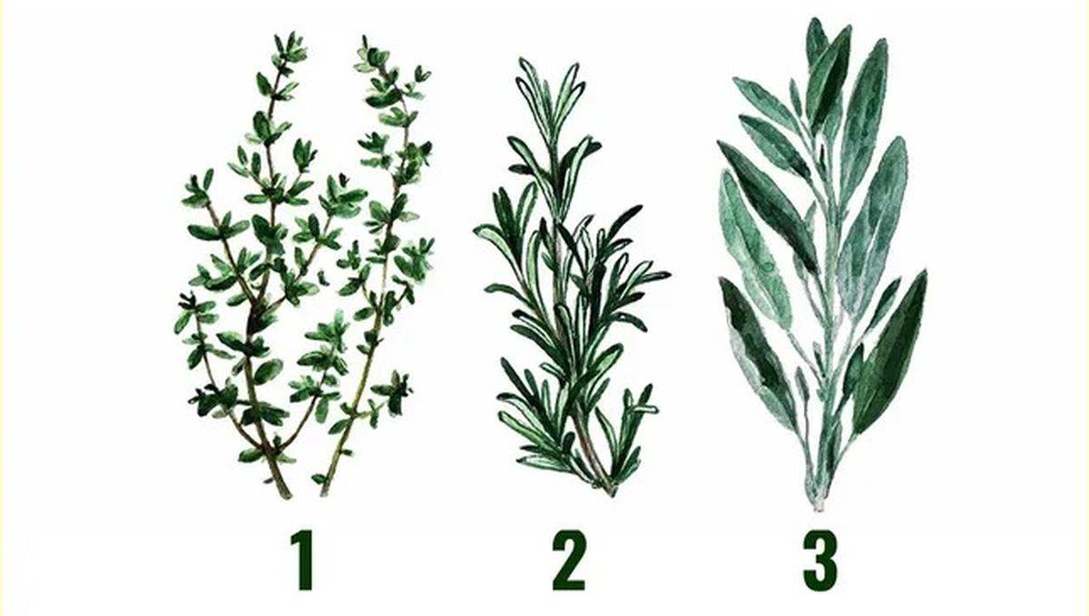  Test ličnosti Koja je vaša ključna osobina 