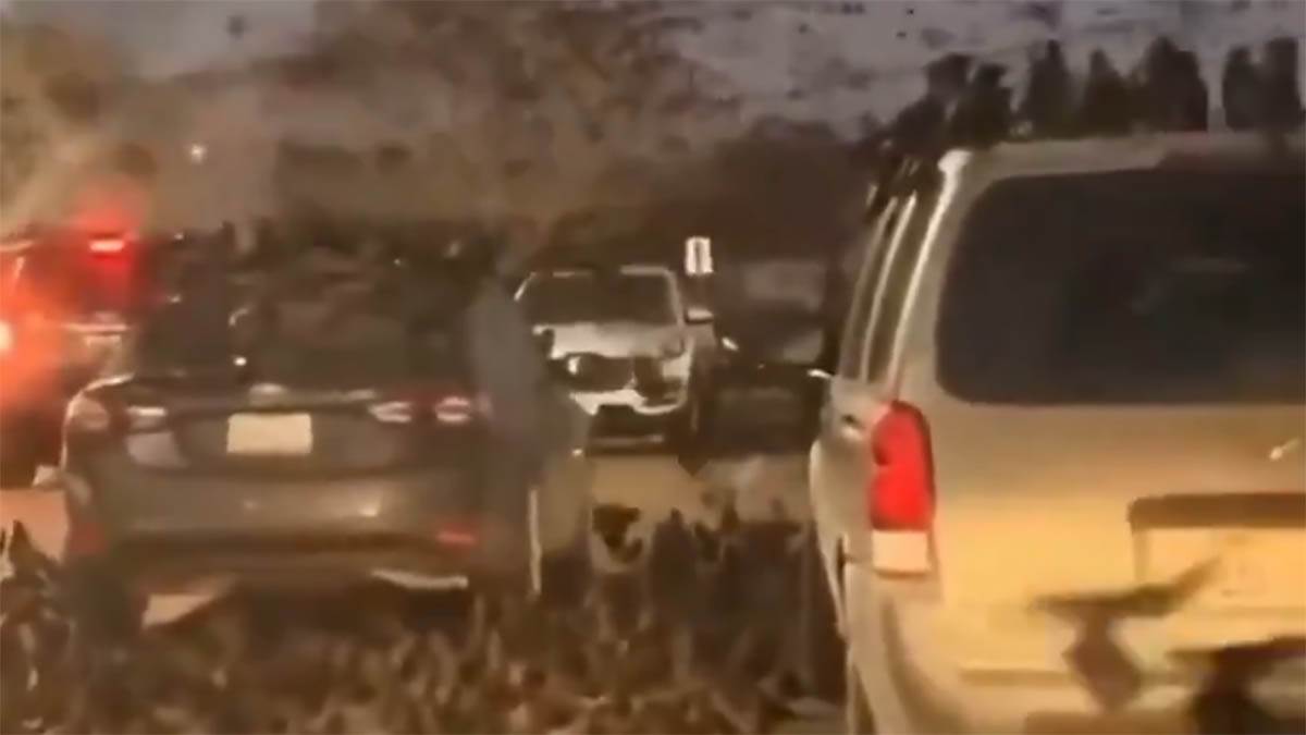  "Predskazanje propasti, često prethodi totalnoj katastrofi": Viralan snimak ptica uznemirio korisnike mreža  (Video) 