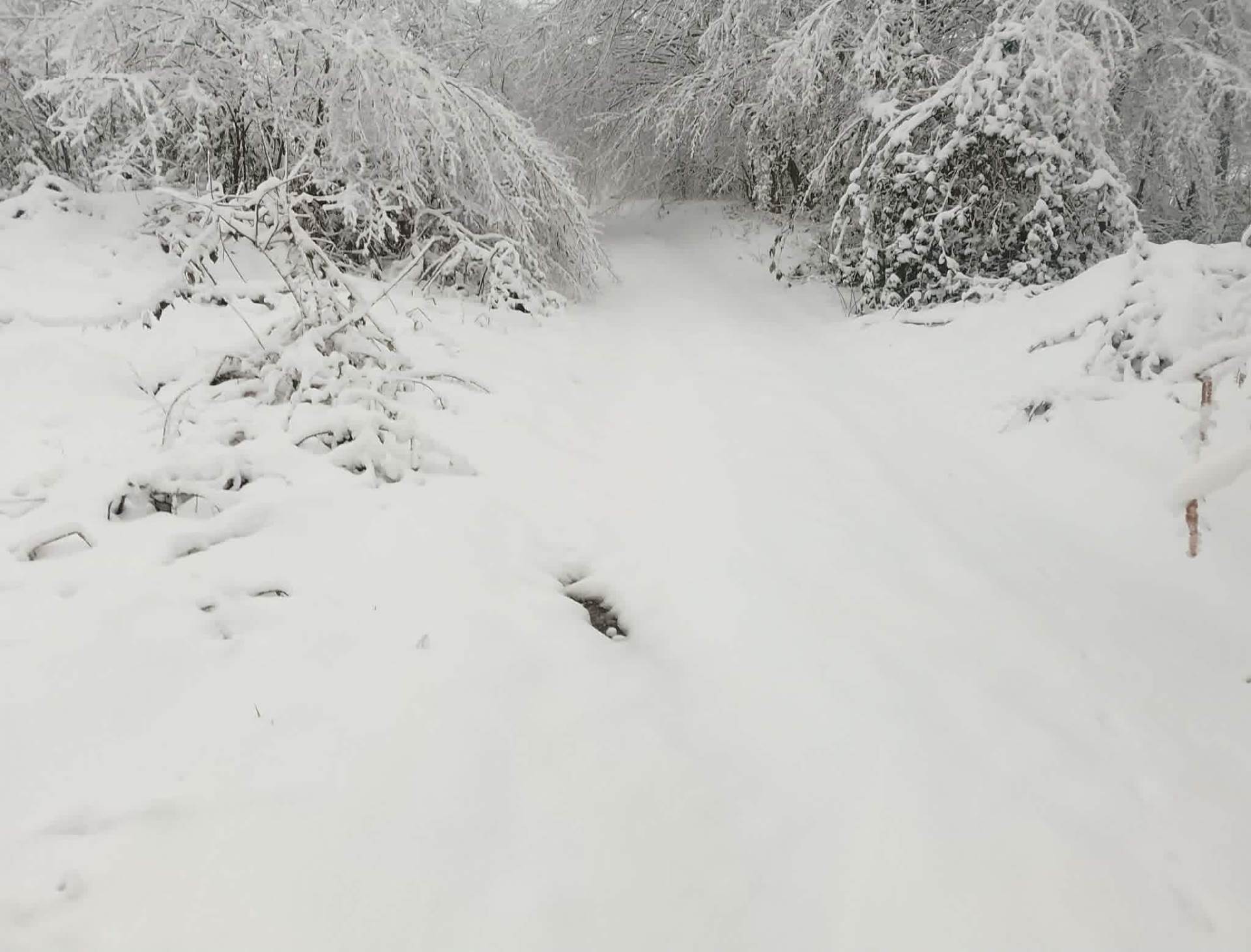  Dio Novog Grada bez struje, u jednoj školi otkazana nastava 