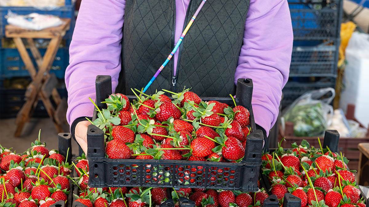  Voće i povrće sa najviše pesticida 