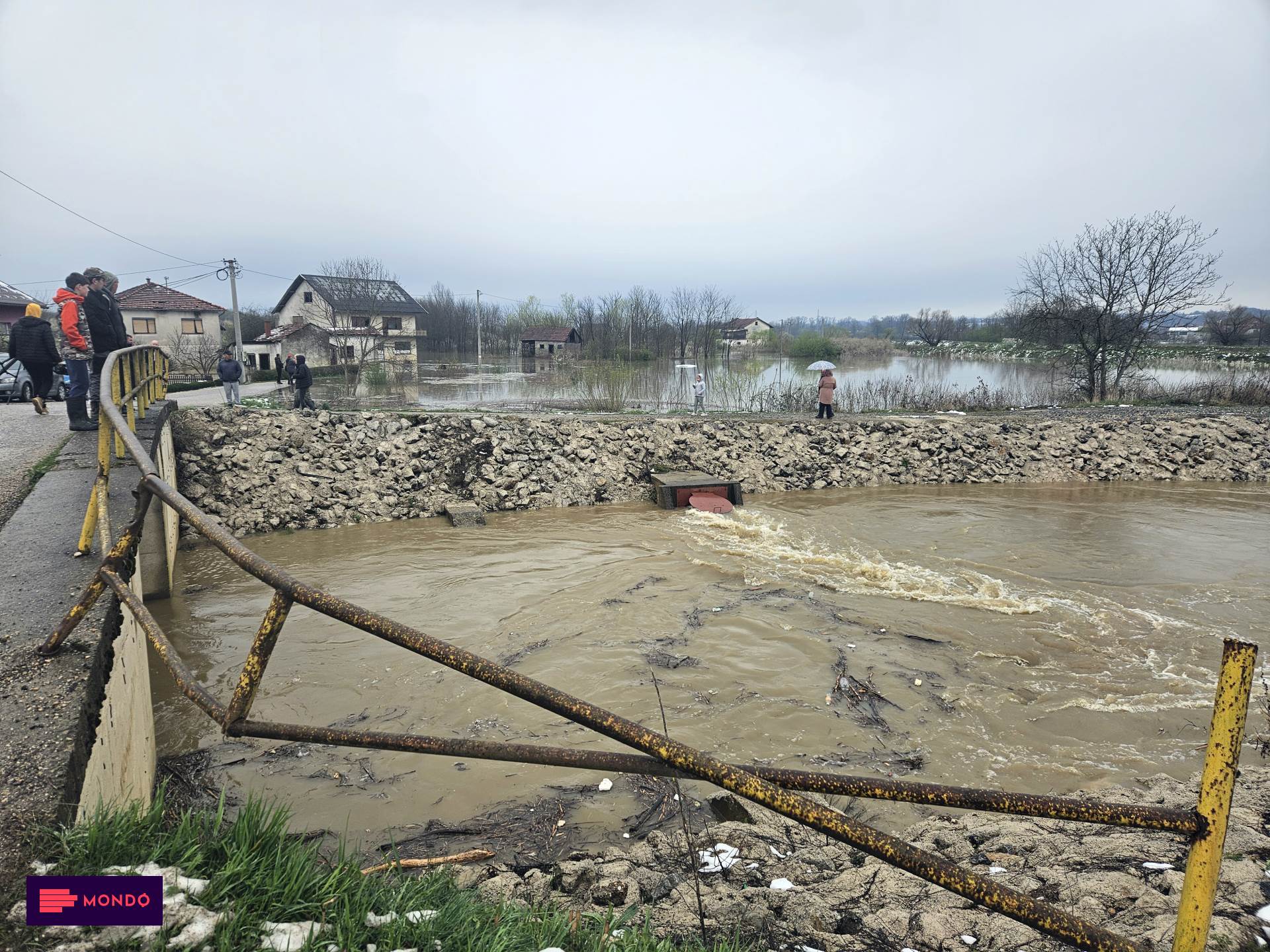 Sana blago raste, Gomjenica stagnira | Info | Društvo